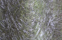 Boyatt Wood fibreglass roof work