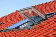 Boyatt Wood roof window